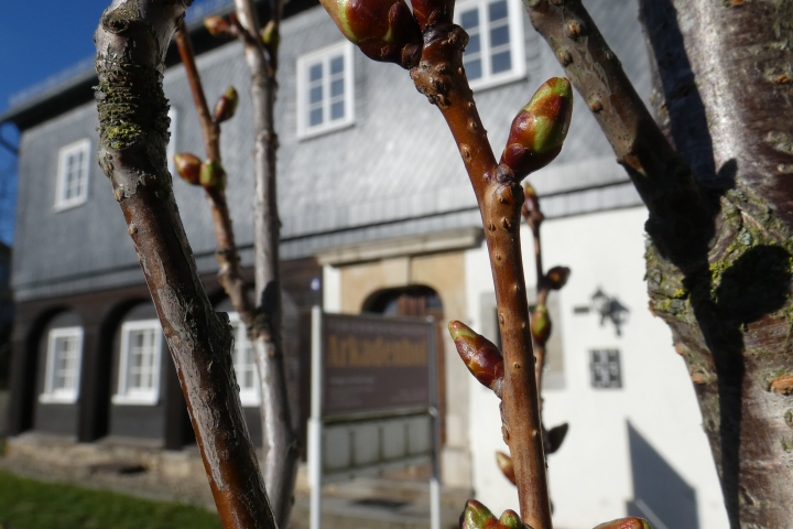 Frühling in Neugersdorf