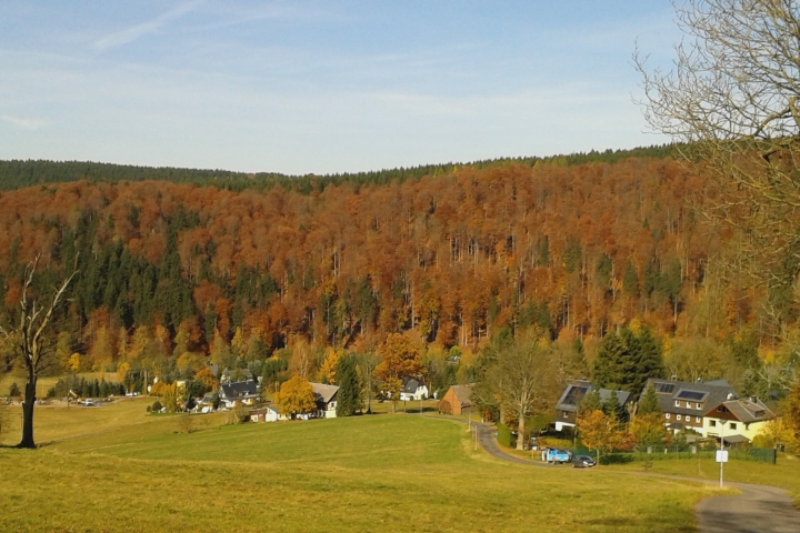 Herbst in Holzhau - Blick in das Tal