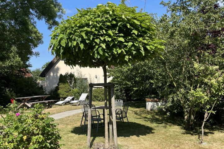 Garten