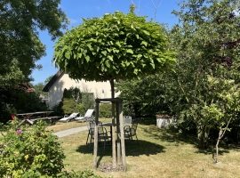 Ferienhaus Typ C - Foto 2