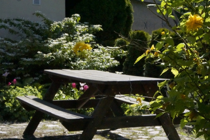 Garten