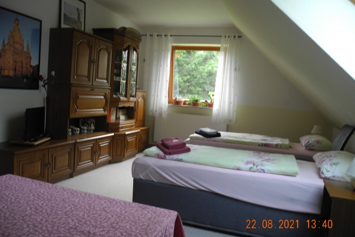 Wohn- und Schlafzimmer2
(eine Variante für Einzelbettaufstellung)