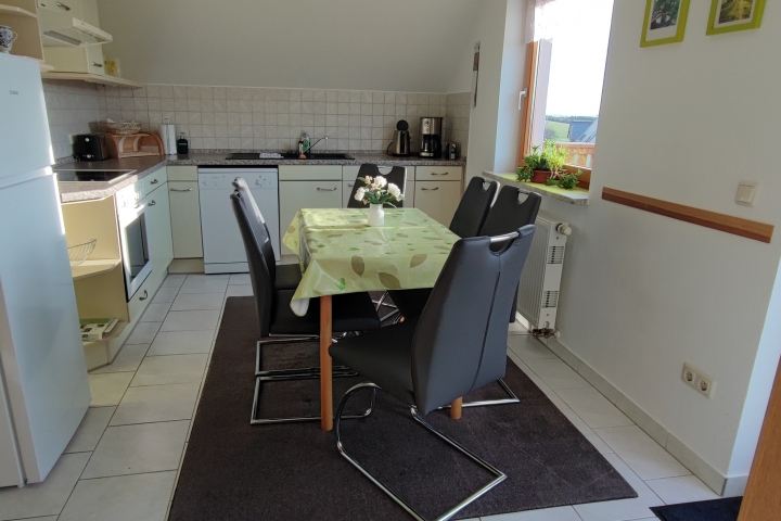 Küche mit Kühl-und Gefrierschrankkombination