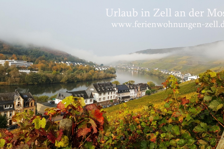 Wanderwege in Zell Mosel