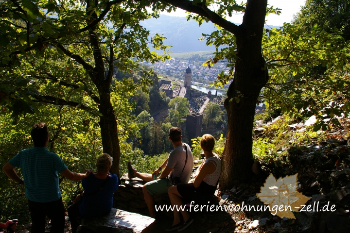 Wanderwege in Zell Mosel