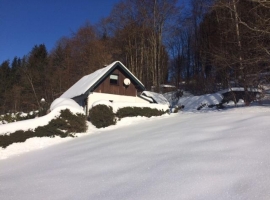 Foto 20