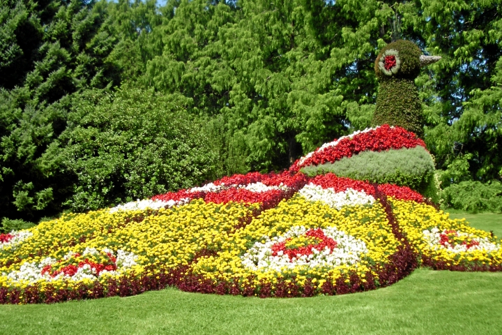 Blumeninsel Mainau (bepflanzte Figur)