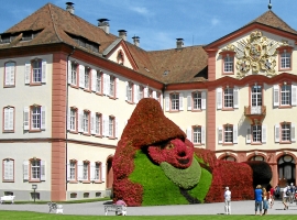 Foto 10