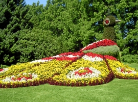 Foto 11