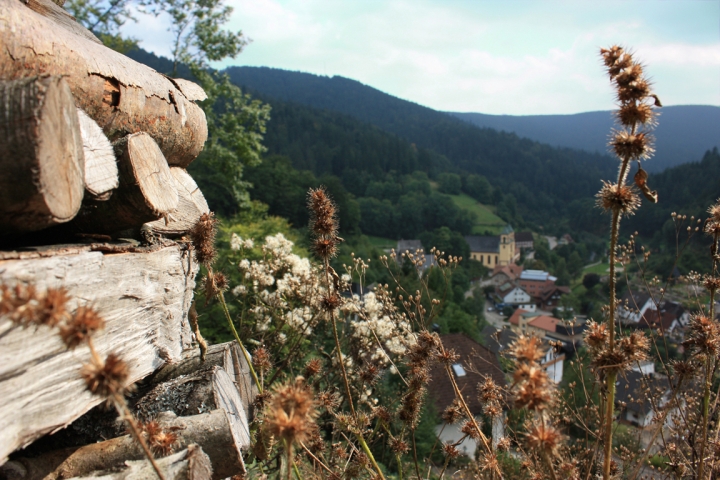 Bad Rippoldsau im Herbst