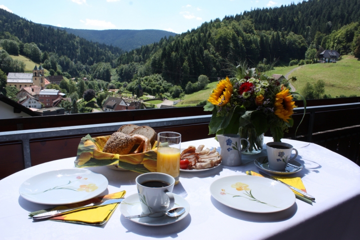 Ferienwohnung Haus Armbruster | Aussicht vom Balkon