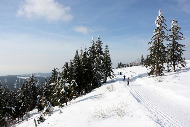 Wintersport in der Umgebung von Haus Armbruster