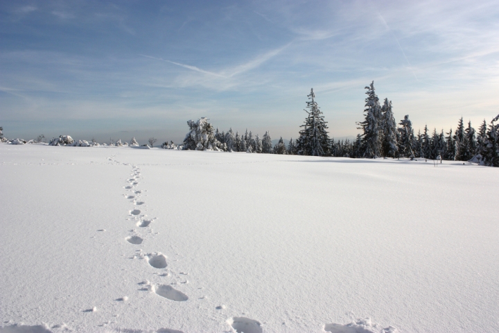 Winterzauber in der Umgebung von Haus Armbruster