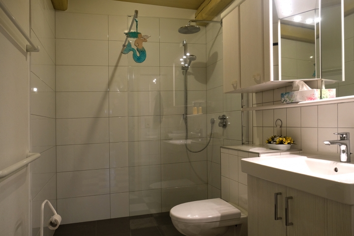 Im Badezimmer haben Sie eine bodentiefe Dusche, WC, Waschbecken und auch Fußbodenheizung.