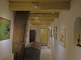Foto 11