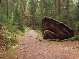 Foto 17