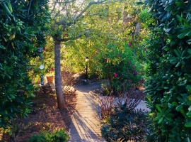 Foto 12