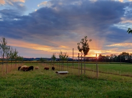 Abendstimmung