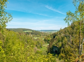 Ferienhaus Typ A - Foto 1