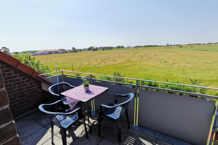 Blick vom Balkon über die Wiesen