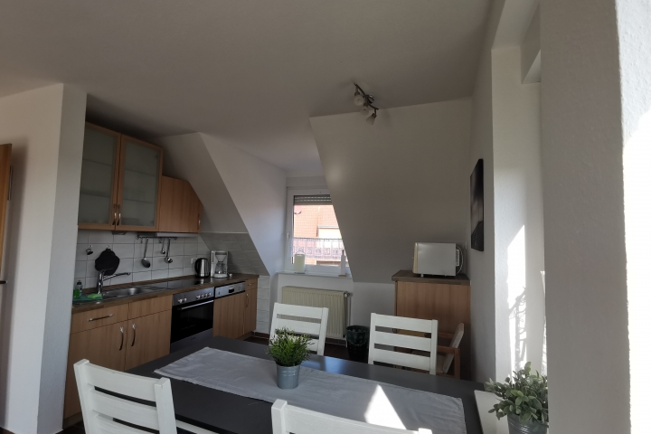 Großer Wohn- Essbereich mit Küche und herrlichem Blick über den Balkon auf die Wiesen