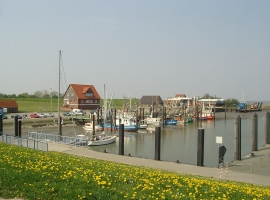 Foto 21