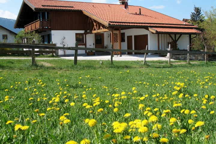 Ferienwohnung Haus Regina | Haus Regina