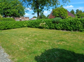 Innenseite vom Garten , hinter der Hecke ist ein Metalzaun . Das Grundstück ist komplett eingezäunt 