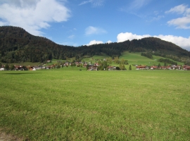 Foto 17
