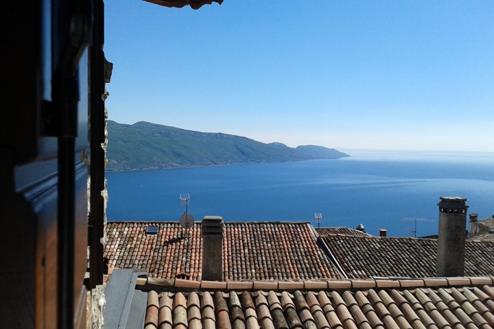 Seeblick vom Balkon Mimosa
