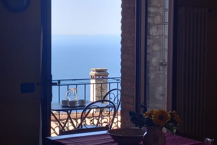 Balkon Mimosa