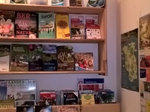 Foto 21