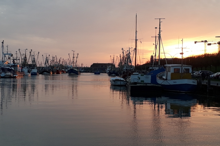 Hafen in Büsum