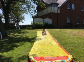 Foto 22