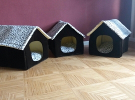 Foto 31