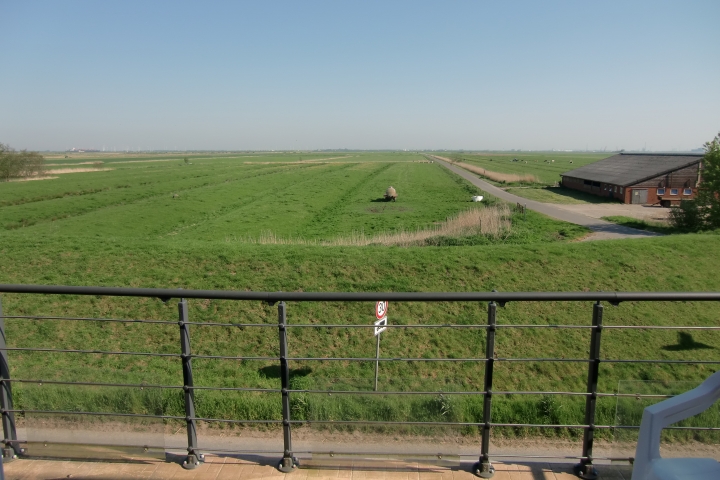 Blick vom Balkon im OG