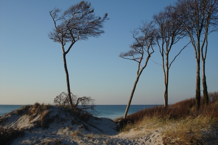 Weststrand