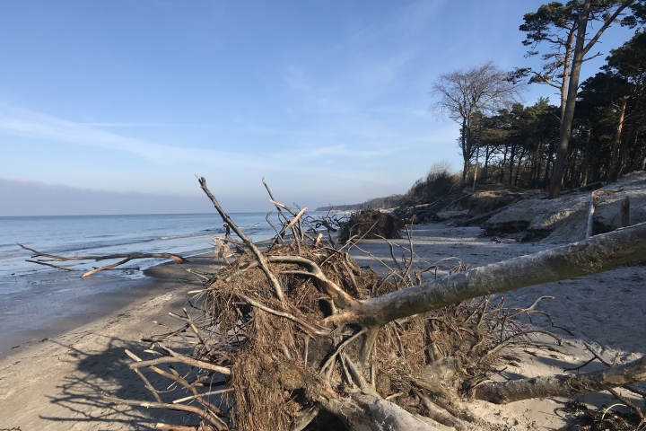 Weststrand