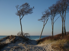Foto 17