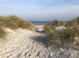Foto 18