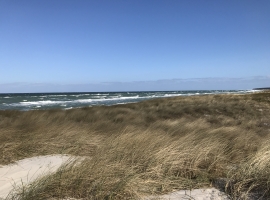 Foto 19