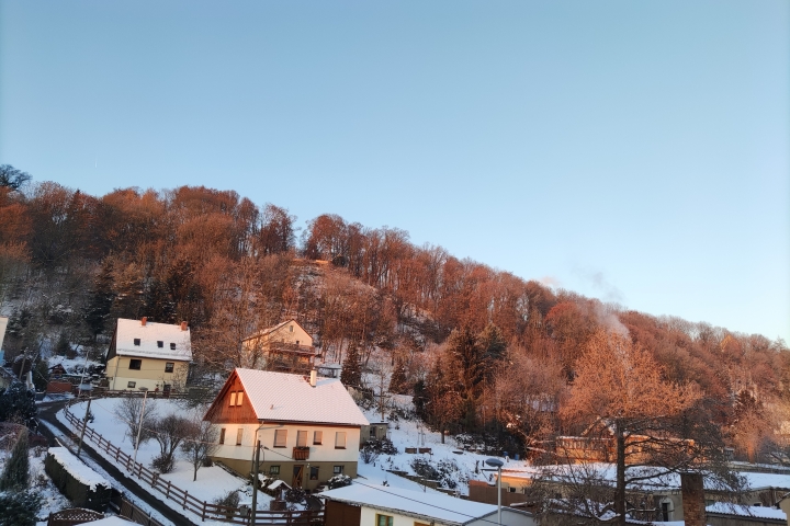 Blick in den Siebeneichener Wald, Hausrückseite 