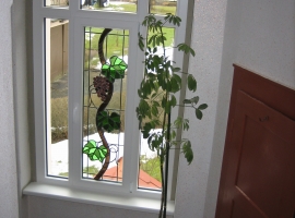 Foto 12