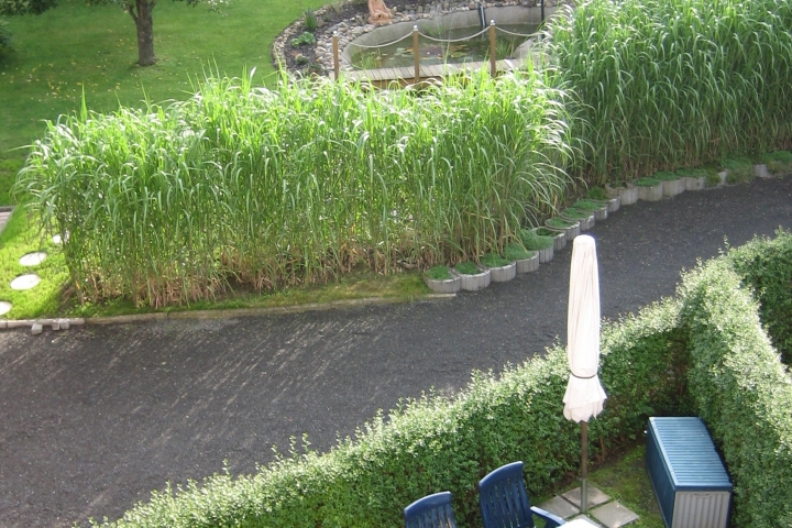 Gartenansicht