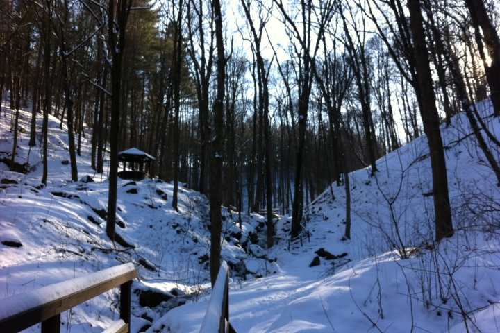 Winterlandschaft Siebeneichener Wald