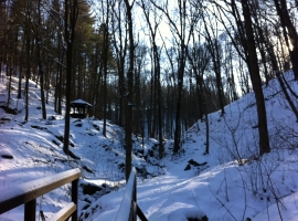 Winterlandschaft Siebeneichener Wald