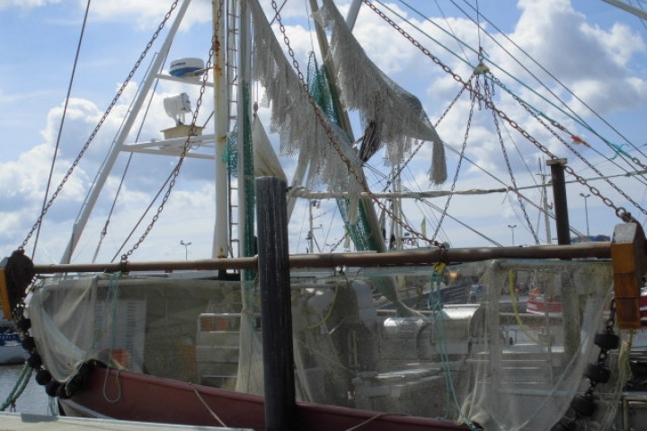 Super Fischrestaurant am Hafen 