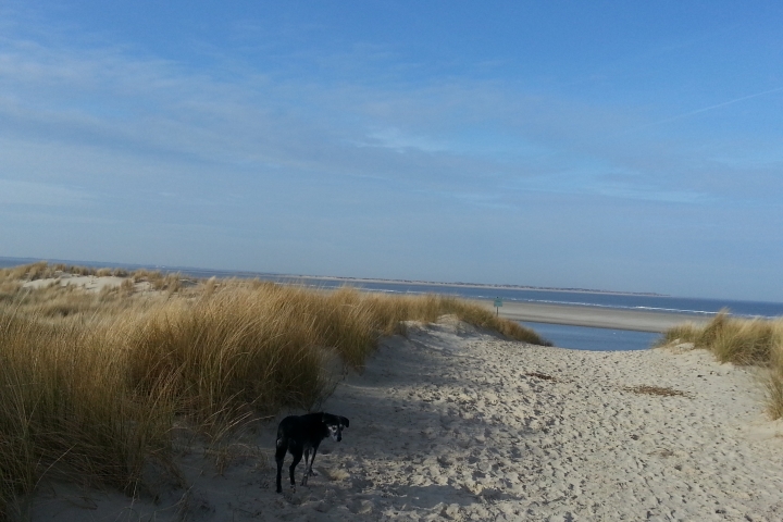Tagesausflug nach Langeoog 