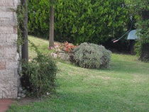 Foto 22