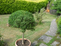 Foto 23